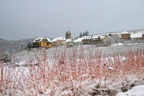 Caveau du Vieux Pressoir