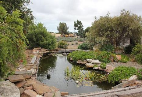 鸸鹋湾薰衣草花田