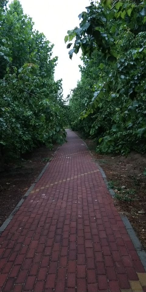 潮白河湿地公园