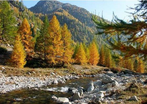 梅康图尔国家公园