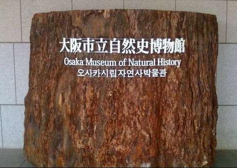 Osaka Museum of Natural History