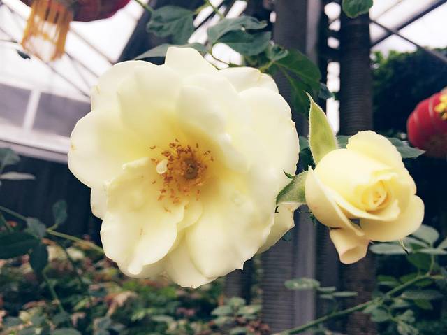 北大荒唐都生态园