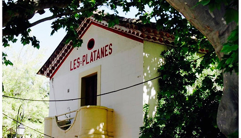 Les Platanes