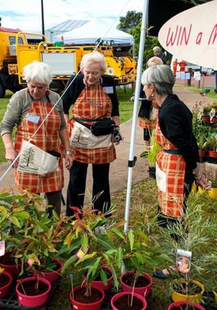麦克唐纳湖露天剧场和努沙植物园