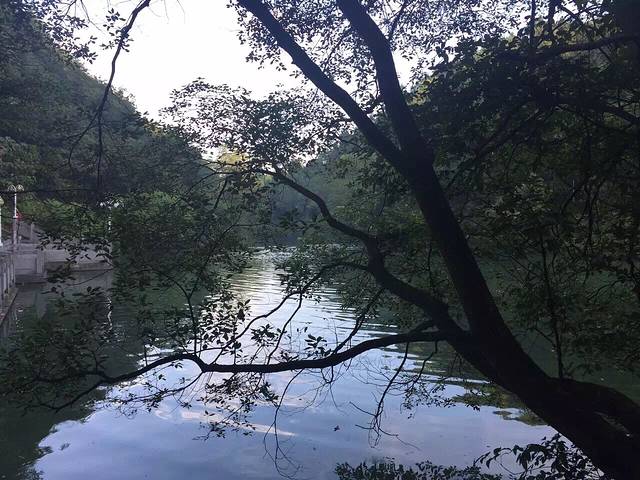 镜湖公园