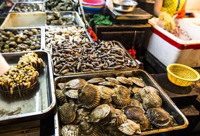 一起携手感受一年四季如春的三亚!