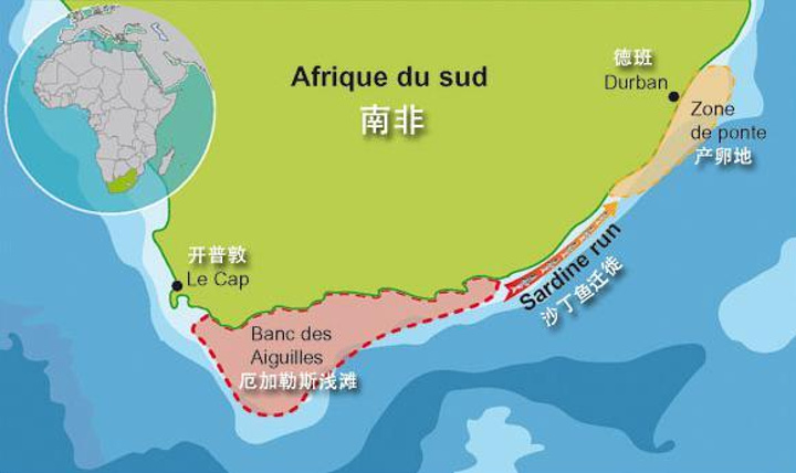 同时也是非洲大陆的最南端-厄加勒斯角