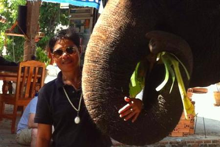 Thom's拜县大象营