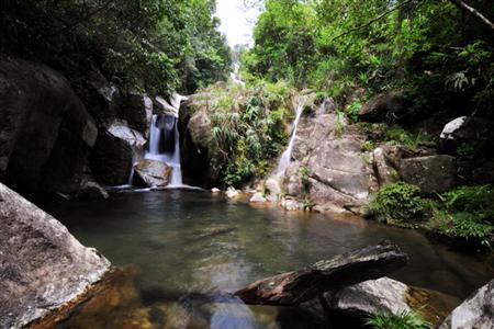 屏峰雨林恐龙公园