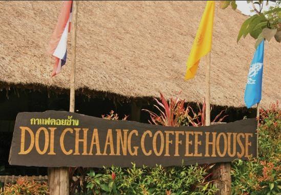 Doi chaang coffee house