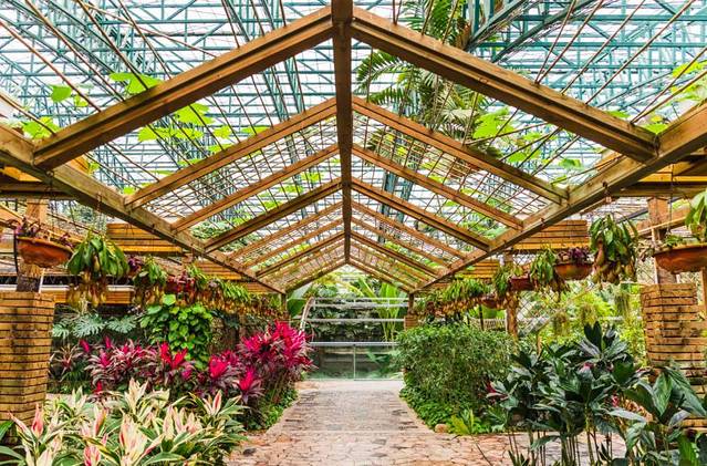 东部华侨城茶溪谷