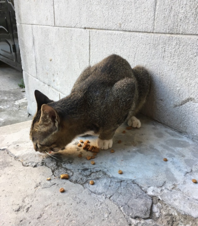 潮汕成记牛肉火锅(清潭总店)