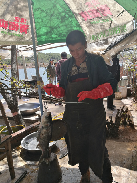 老字号石龙水库生态渔家