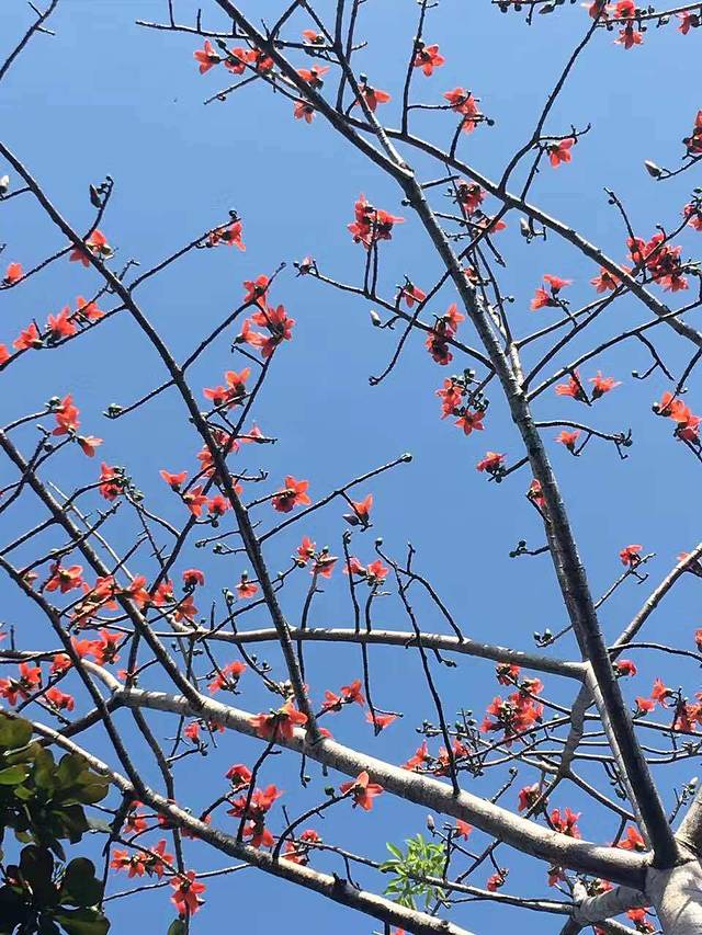 品香粥坊(东环家乐福店)