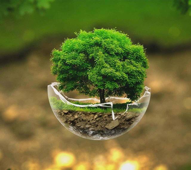 麦当劳(泸州汇通店)