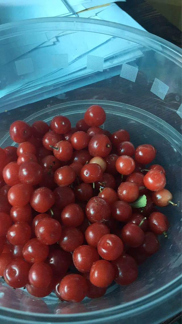 肯德基(中东DT店)