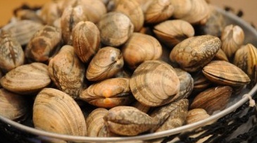 咖啡苑·自助餐(杭州香格里拉饭店)