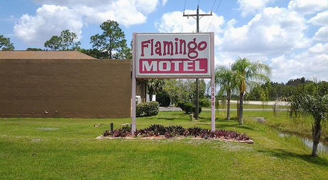 火烈鸟汽车旅馆(Flamingo Motel)