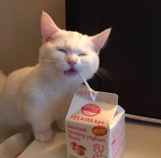 肯德基(修水宁红店)