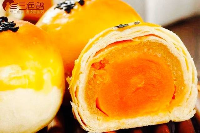 南阳三色鸽(十五小店)