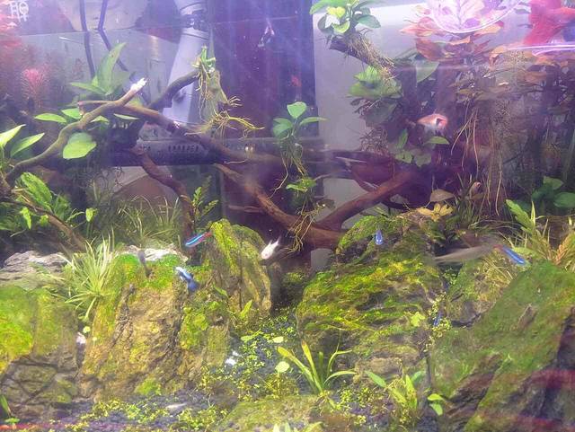 鸭唇王(大庆东路店)