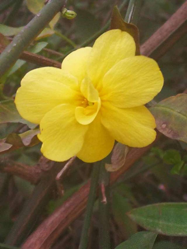 七号菜馆(友谊路店)