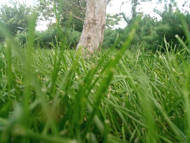 麦当劳(临淄时代广场茂业店)