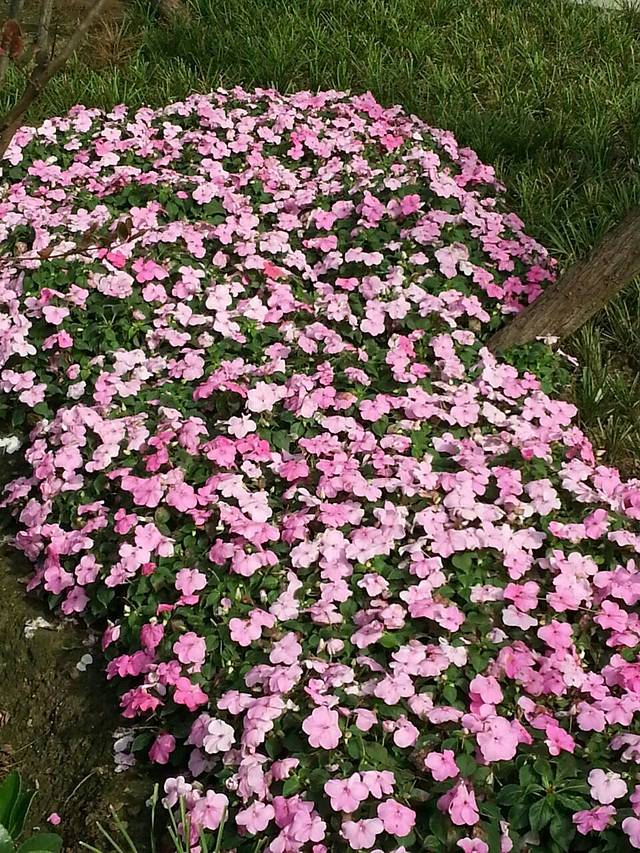 东来顺饭庄(西直门店)