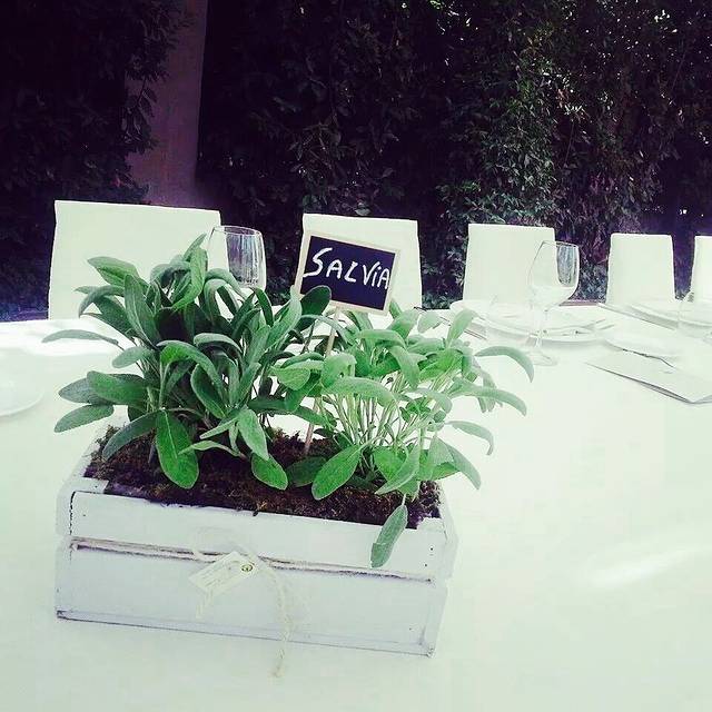 Villa de Grecis Eventi