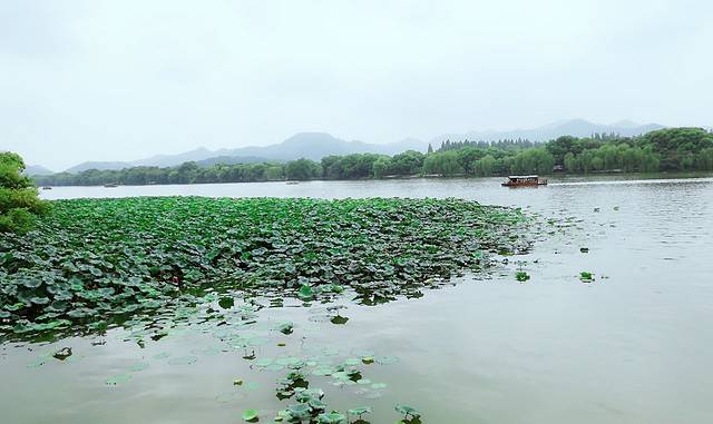 好又来烘焙(八号桥商业街店)