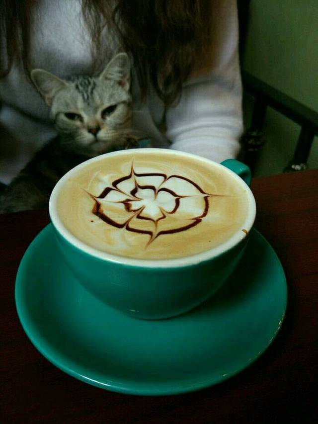 本来咖啡馆(庙湾古城店)