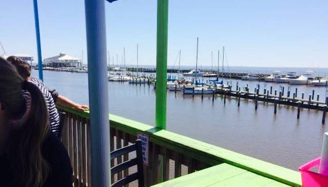 Shaggy's Pass Harbor