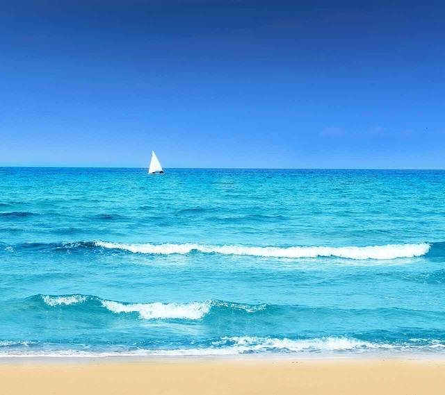 蚝味居老吴家蚝市(环湖店)