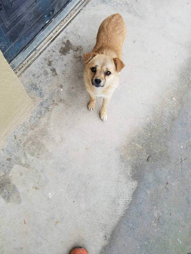 可口贝甜(广德团结中路店)