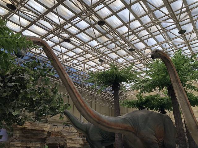 古哺乳动物展厅