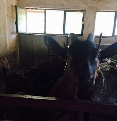 Agriturismo Cà del Monte