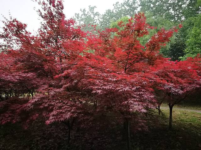 耿福兴(半边街店)