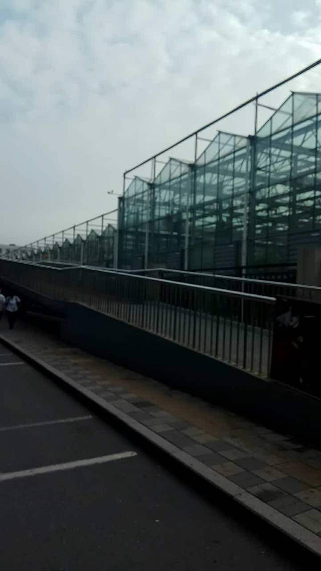 锦渝·水煮鱼(大柳树店)