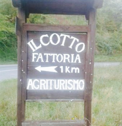 Fattoria il Cotto