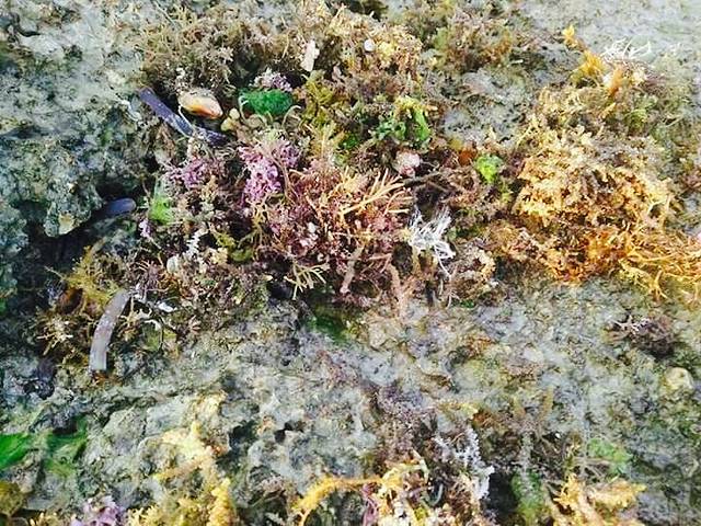 Tori's Backpacker's Paradise