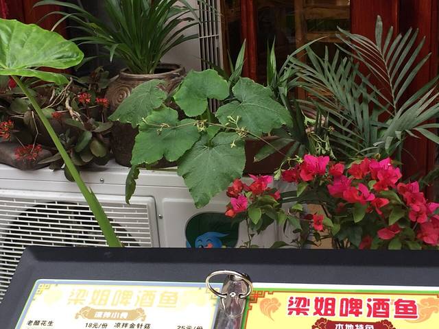 梁姐啤酒鱼(兴坪榕潭店)