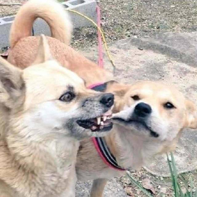 钰贝轩蛋糕食研室(迎龙路店)