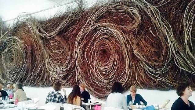 Iris At NC Museum Of Art