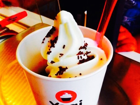 yogi premium greek frozen yogurt