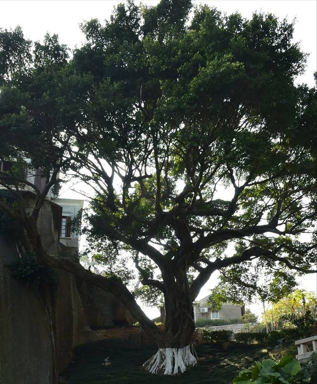 重兴鼓浪屿三和宫记摩崖石刻