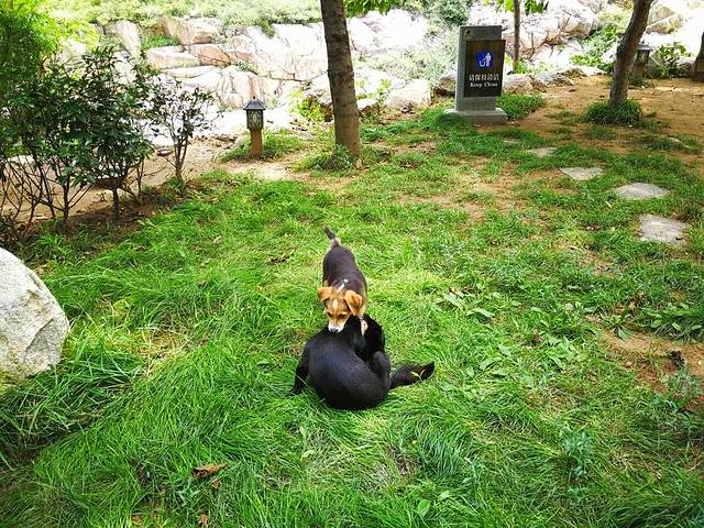 圣都肉食汇(七里店)