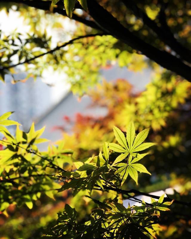 幸福里(番禺路店)