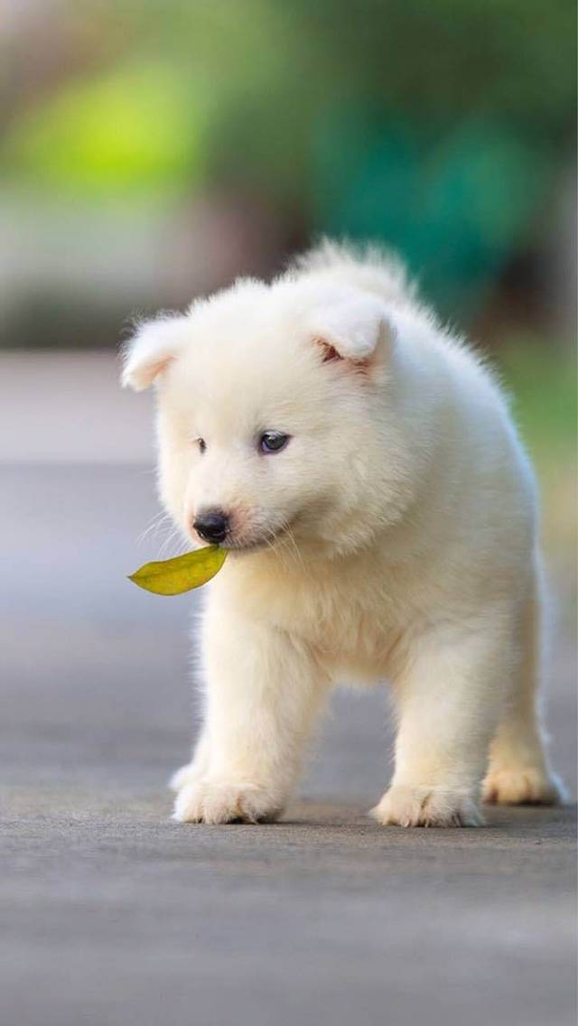 新华蛋糕(津二路店)