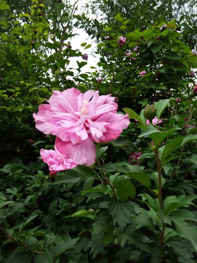 红珠山国际旅游度假村