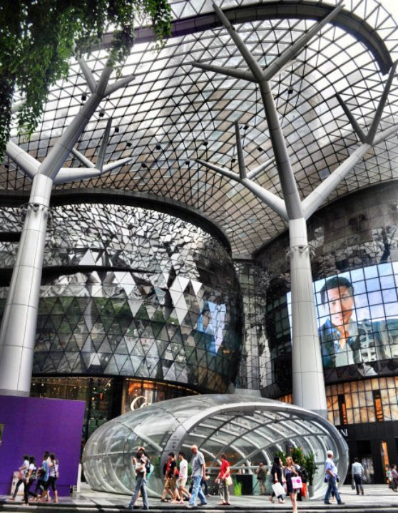 SG Braised Rice 十格捞饭